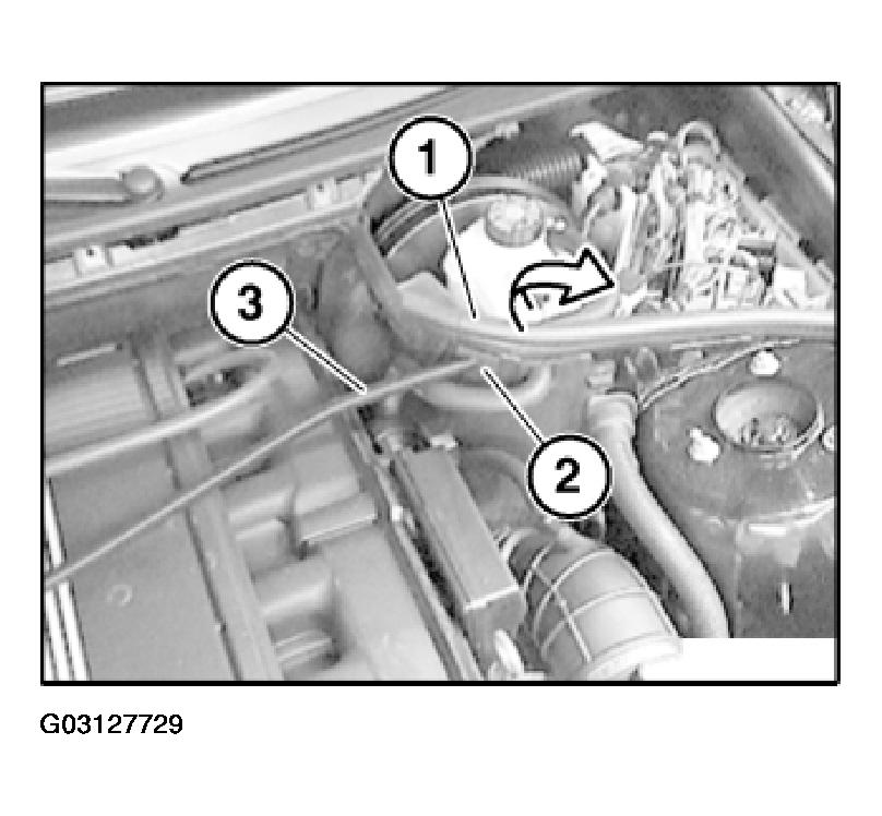 G03127729