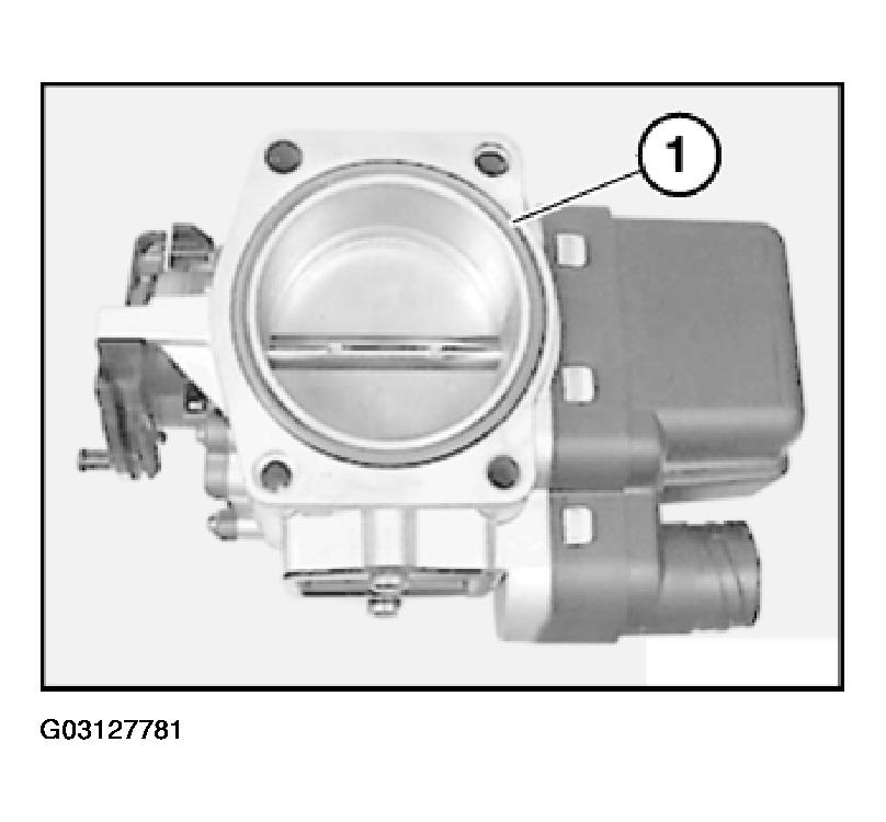 G03127781