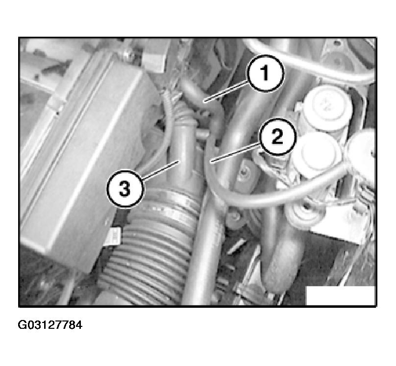 G03127784