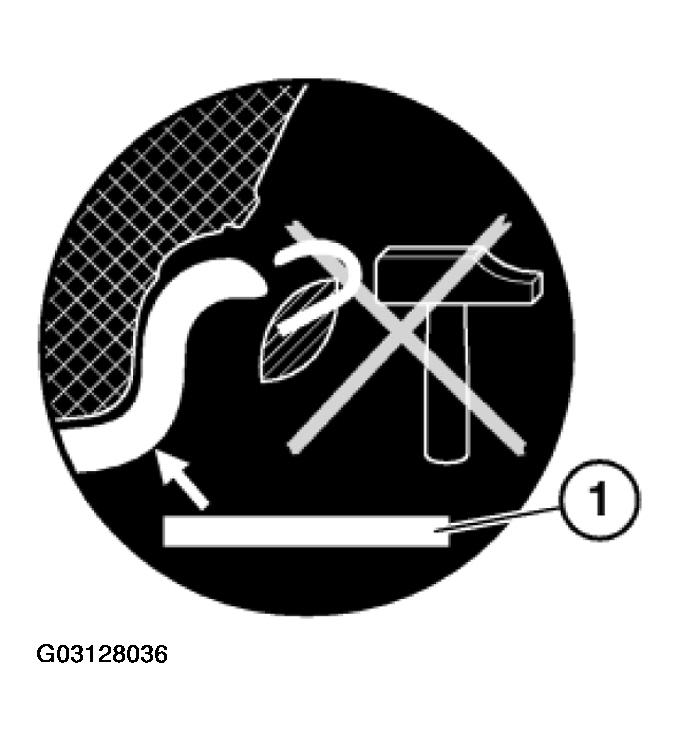 G03128036