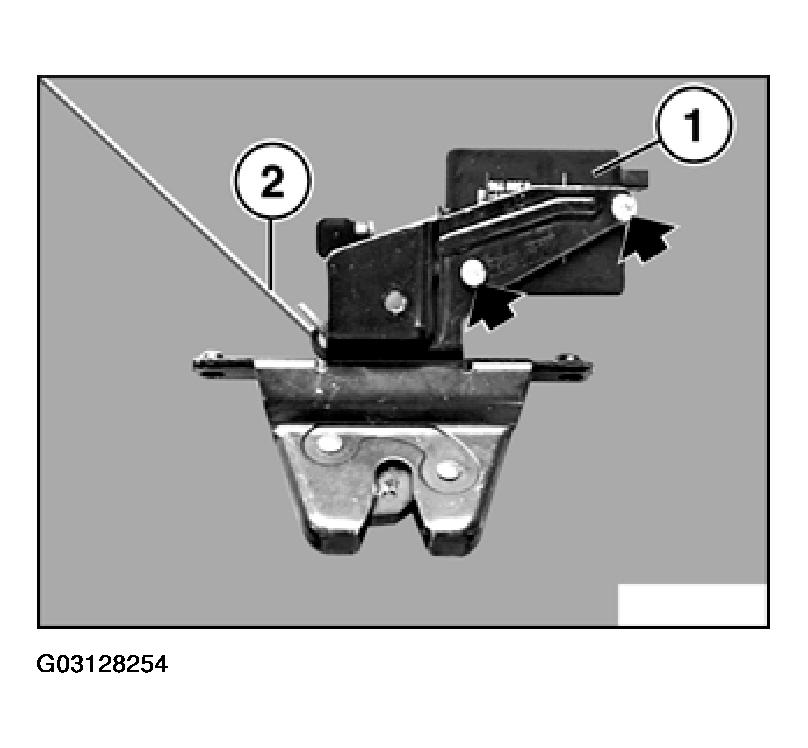 G03128254