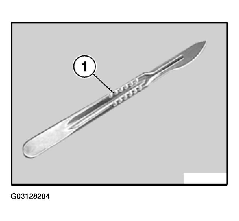 G03128284