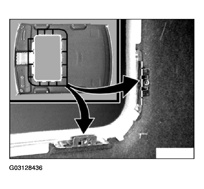 G03128436