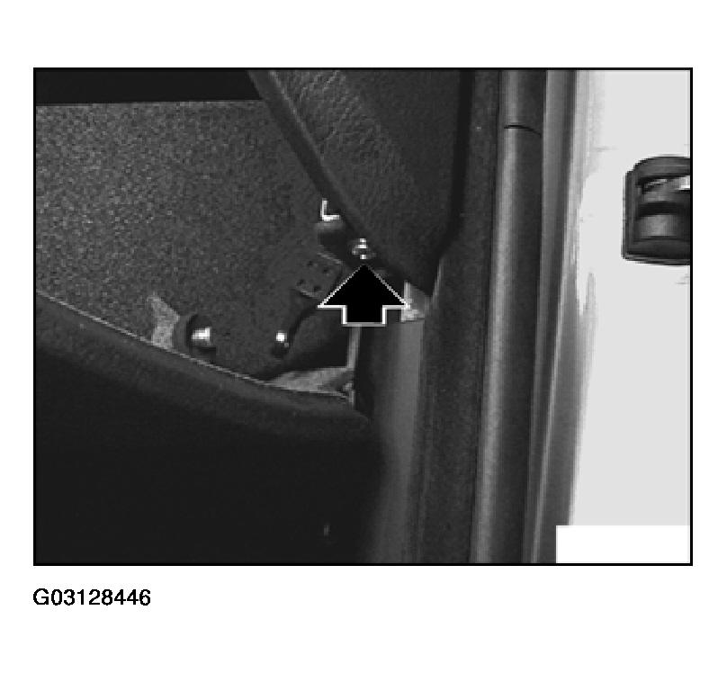G03128446
