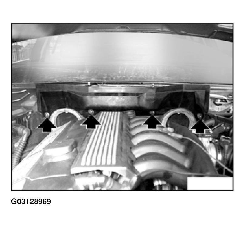 G03128969
