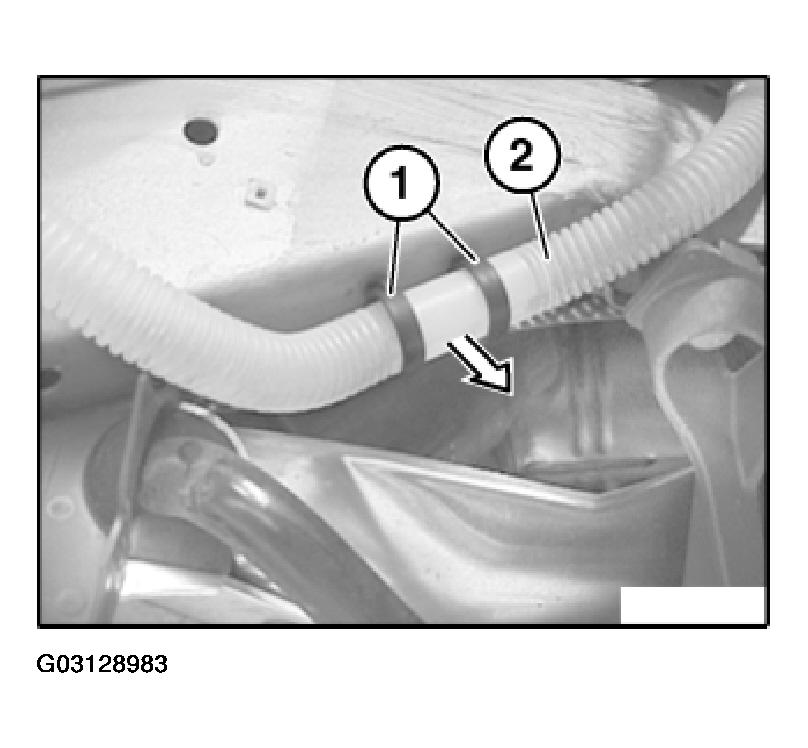 G03128983