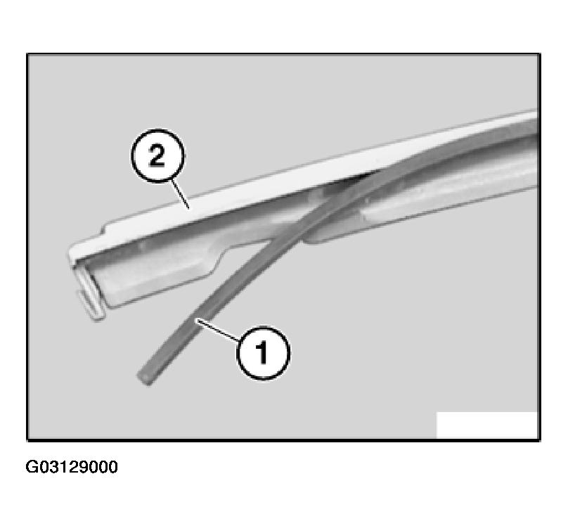 G03129000