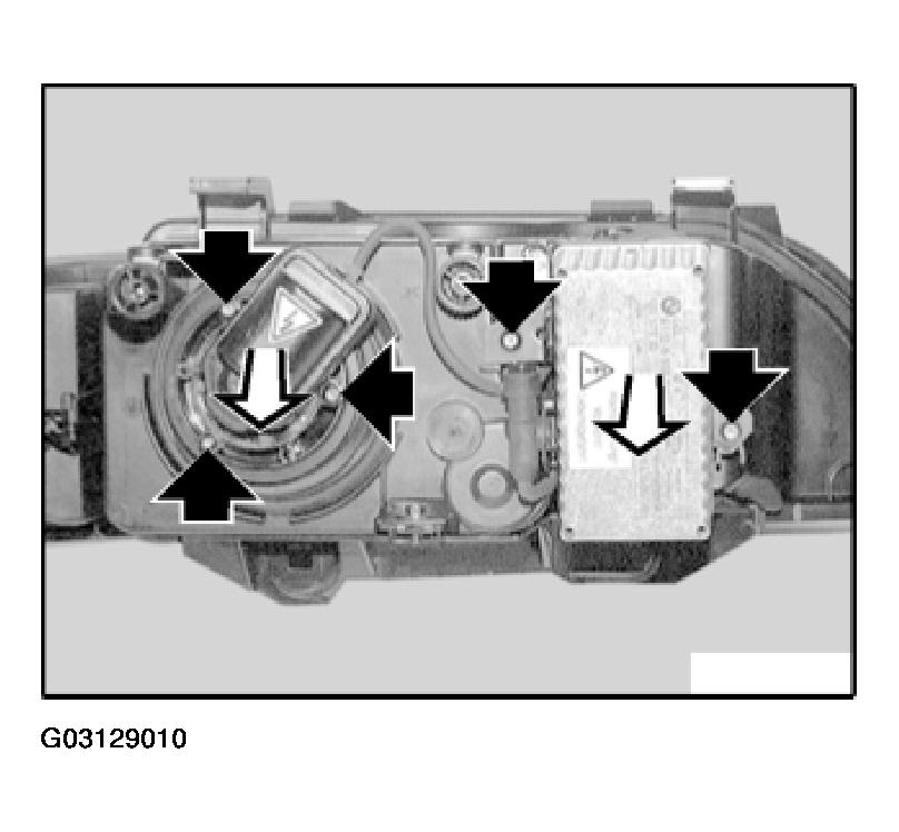 G03129010