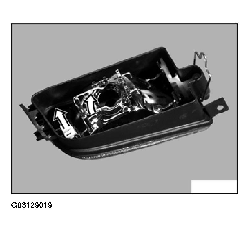 G03129019