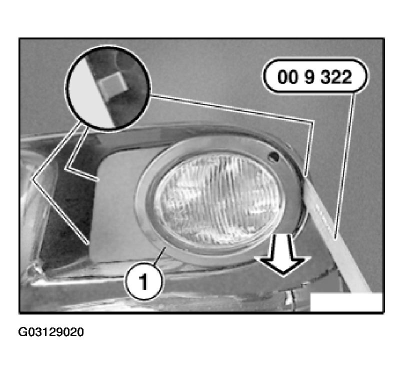 G03129020
