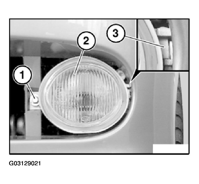 G03129021