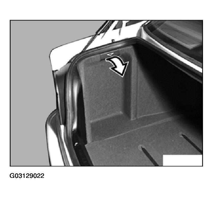 G03129022