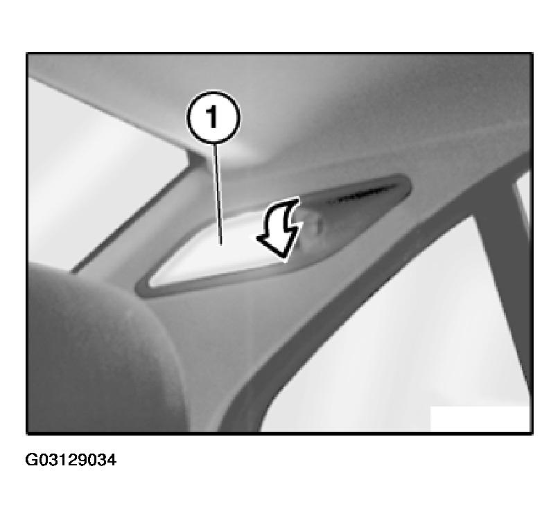 G03129034