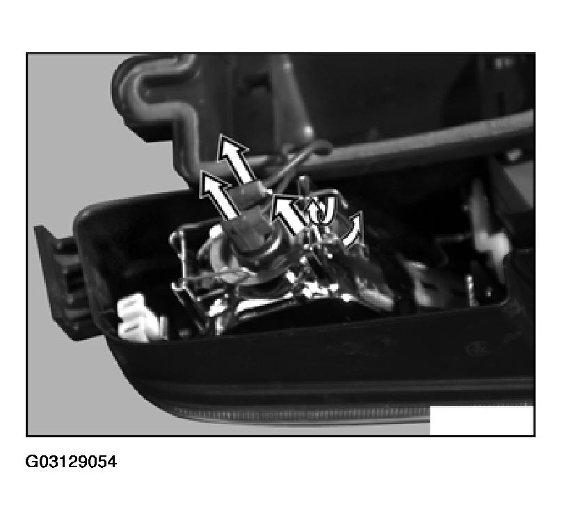 G03129054
