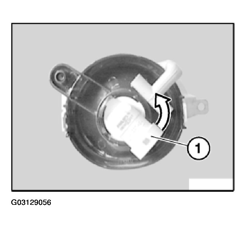 G03129056