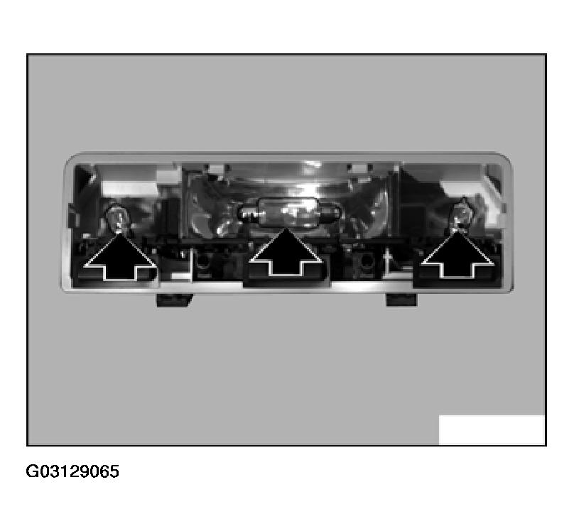 G03129065
