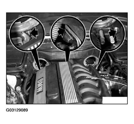 G03129089