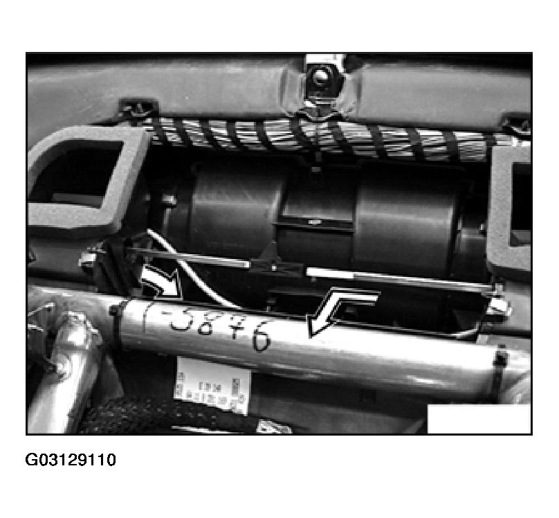 G03129110
