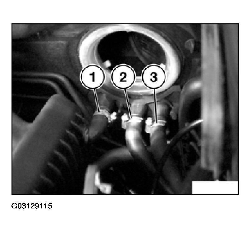 G03129115
