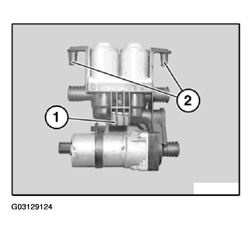 G03129124