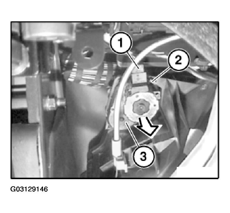 G03129146
