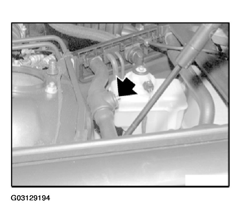 G03129194