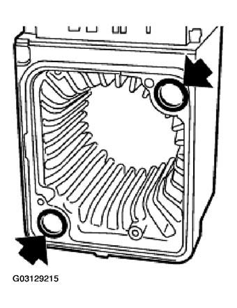 G03129215