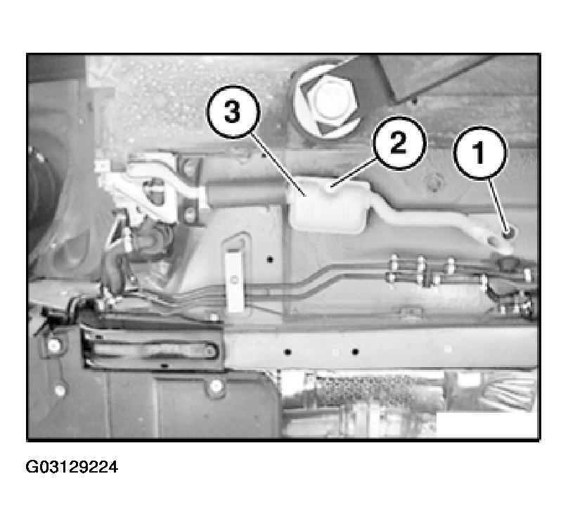 G03129224