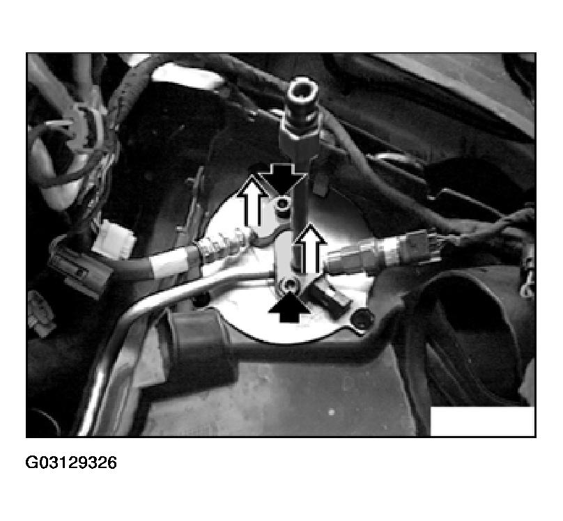 G03129326