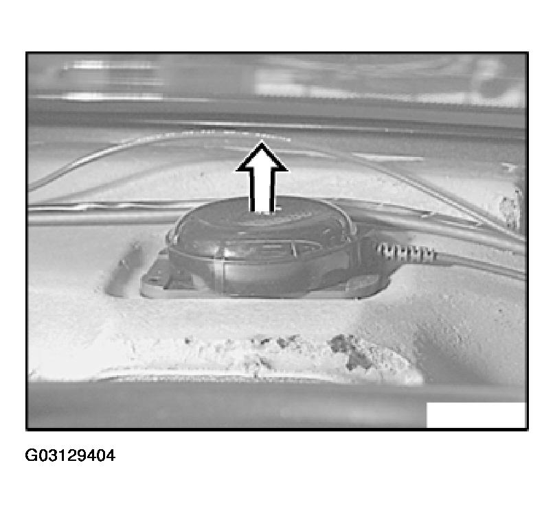 G03129404