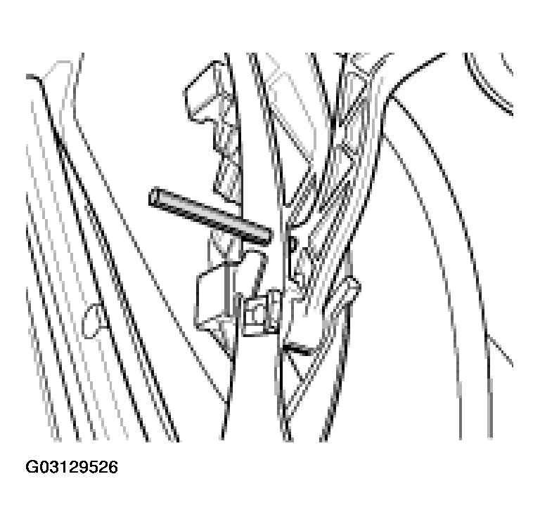 G03129526