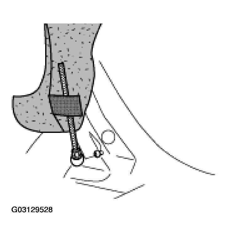 G03129528