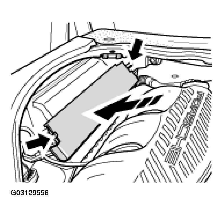 G03129556