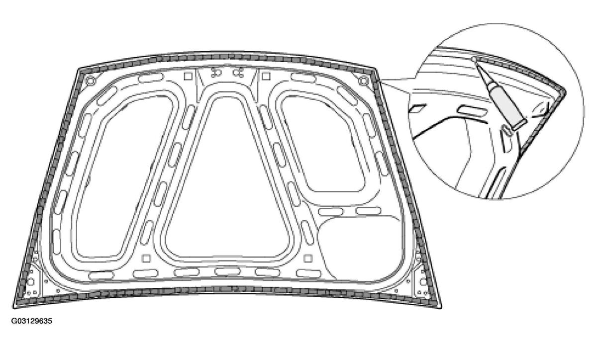 G03129635