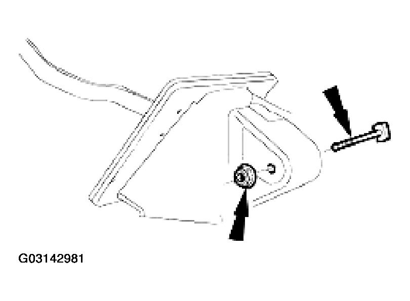 G03142981
