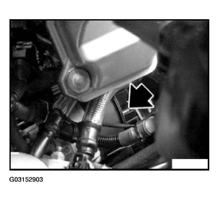 G03152903