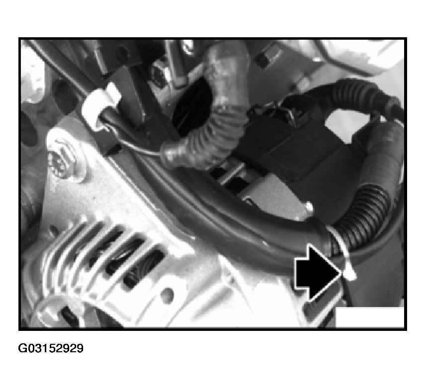 G03152929