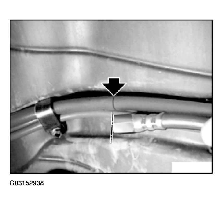 G03152938