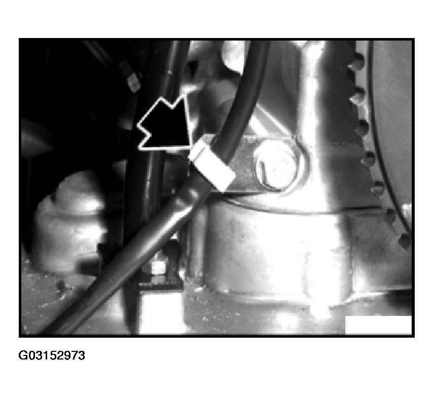 G03152973
