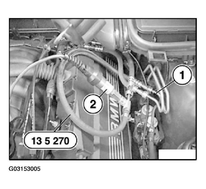 G03153005