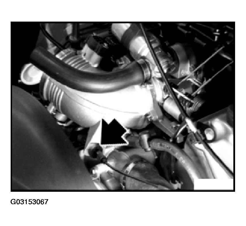 G03153067