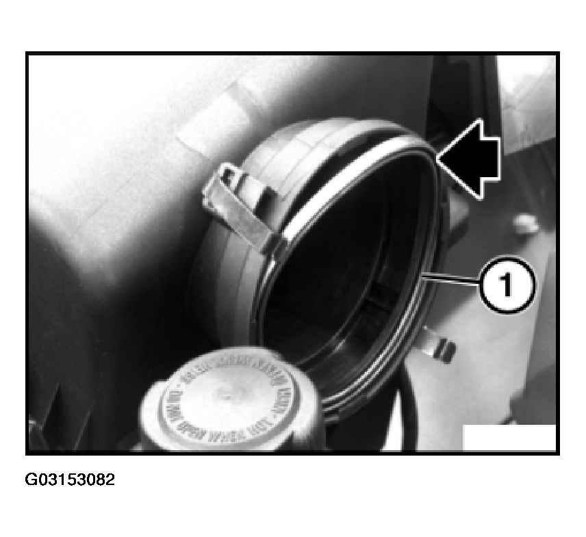 G03153082