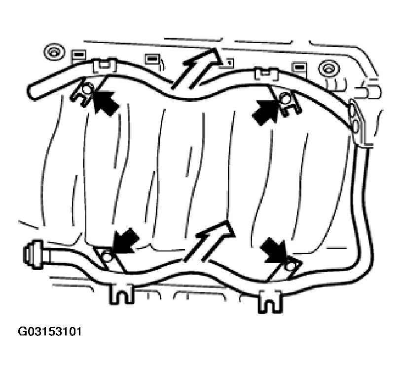 G03153101