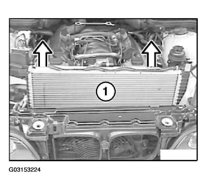 G03153224