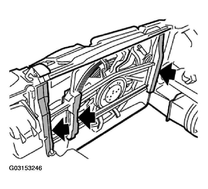 G03153246