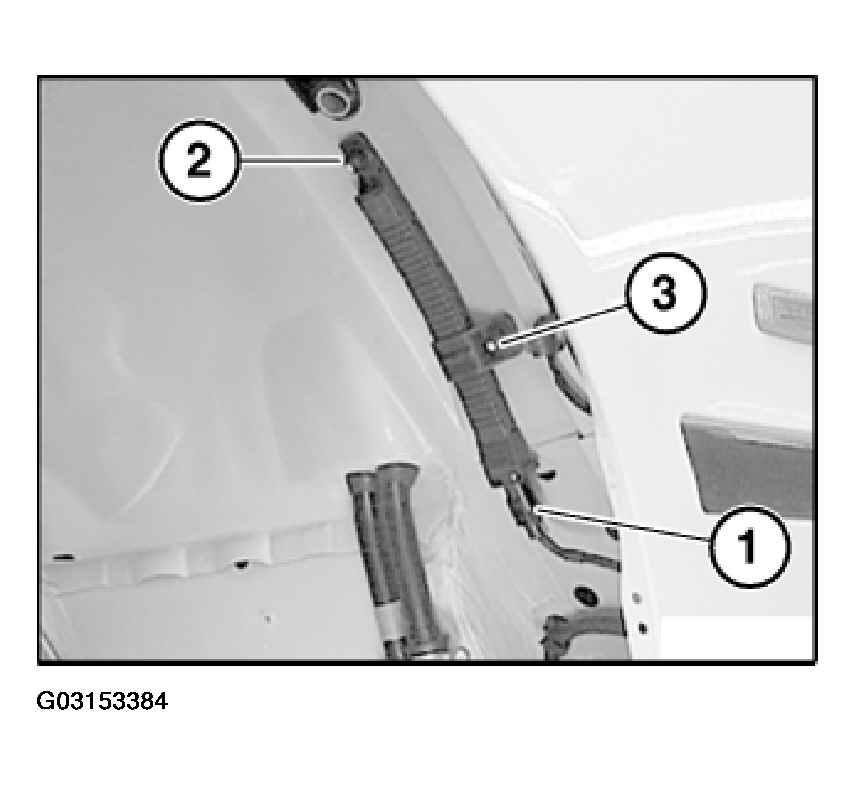 G03153384
