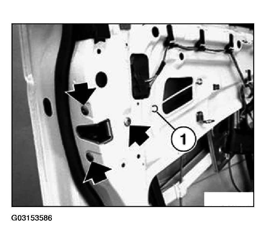 G03153586