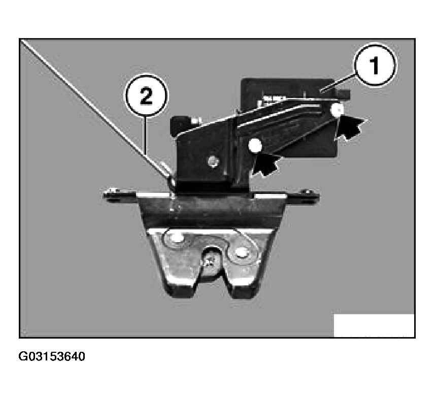 G03153640