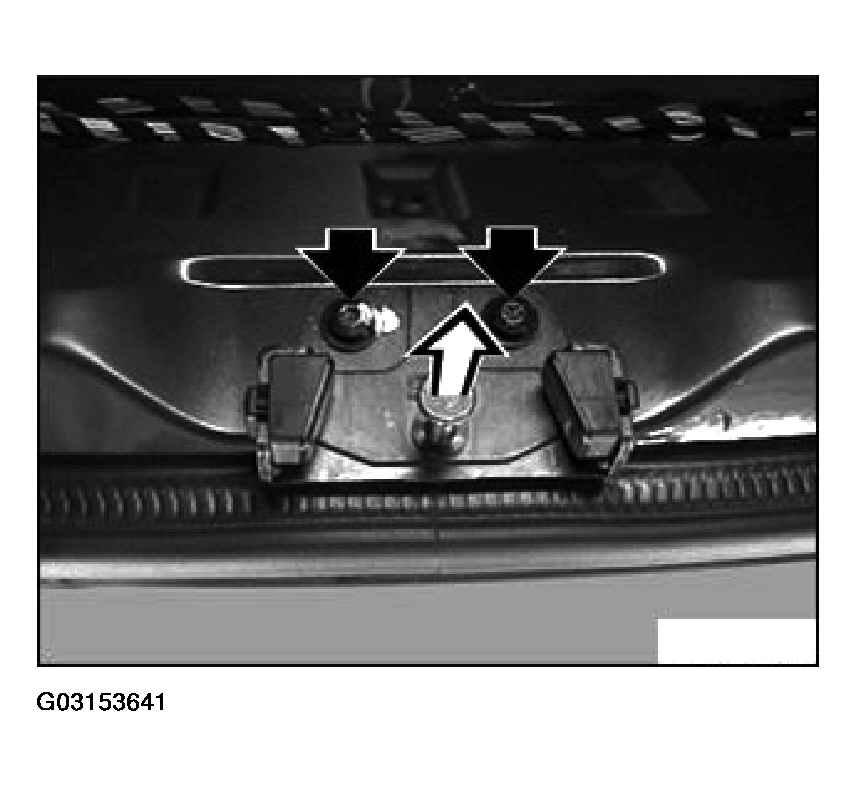 G03153641