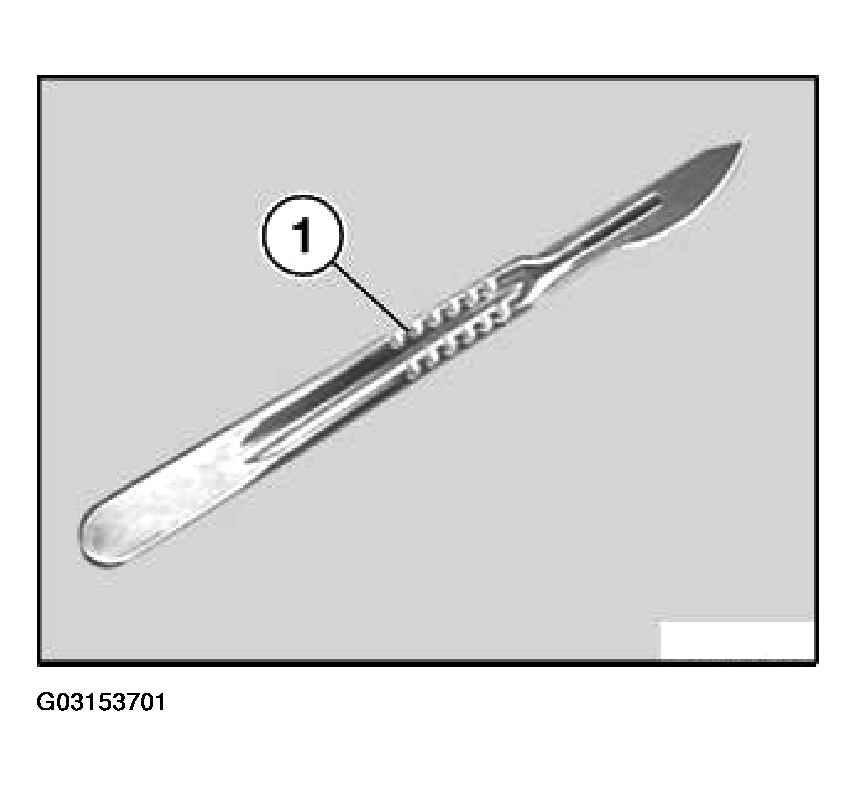 G03153701